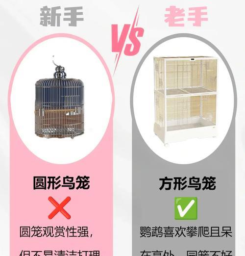 象征鸟培养技巧有哪些？