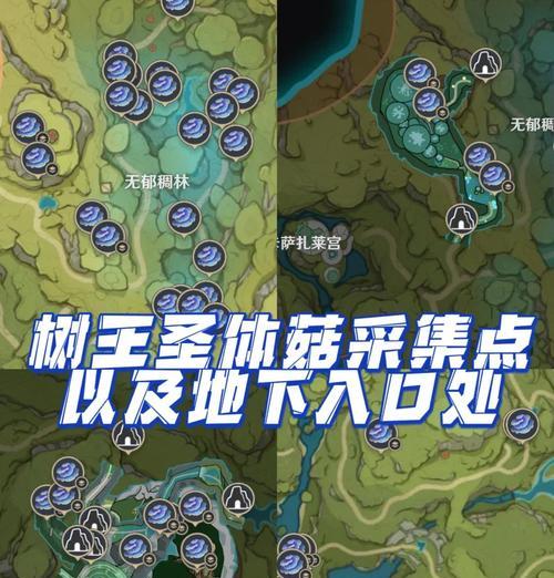 叶绿二之岛蘑菇采集点在哪？如何快速获得蘑菇？