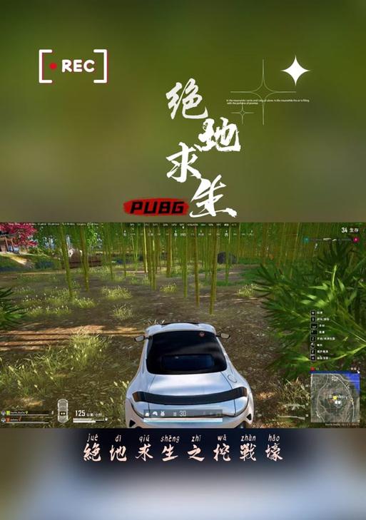 绝地求生中镐子挖坑的正确方法是什么？
