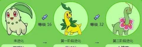 口袋妖怪叶绿砍树技巧是什么？