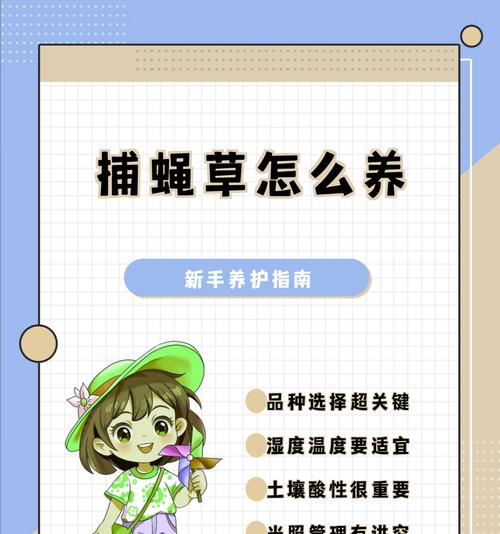 苍蝇偷资源的策略是什么？如何提高效率？