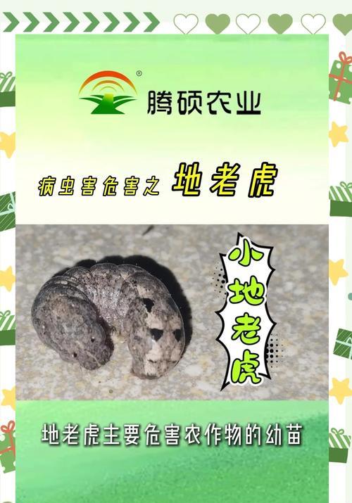 绝地求生中如何有效打老虎？