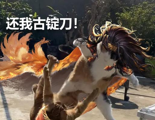 三国杀中的小表情有哪些？各自代表什么意思？