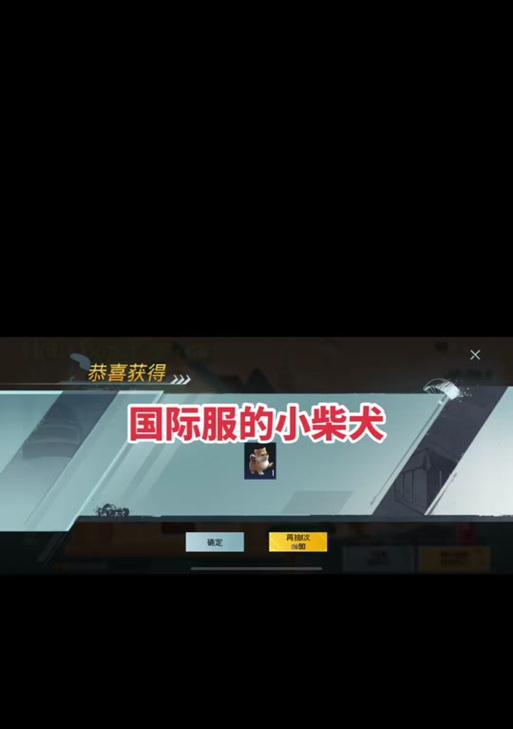 绝地求生宠物飞行功能如何开启？开启后宠物有何变化？