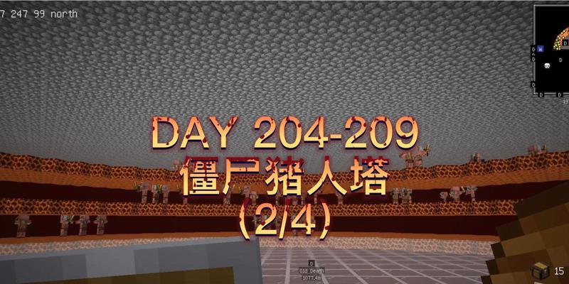 我的世界中驯服僵尸猪人的技巧有哪些？