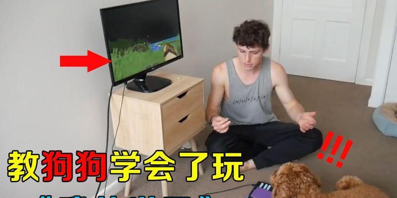 我的世界中如何正确抱起狗狗？