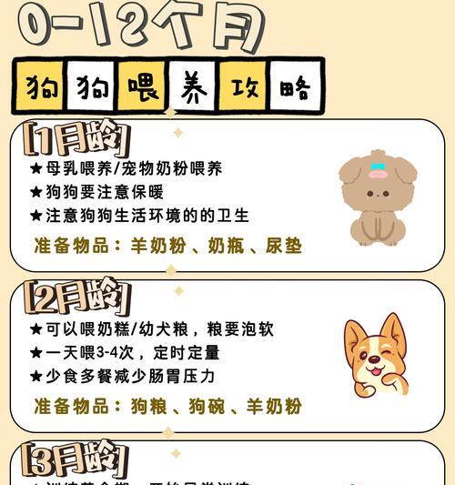 喂食狗狗的正确方法是什么？