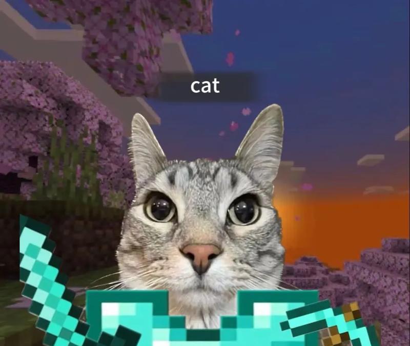 我的世界中如何获得小猫？