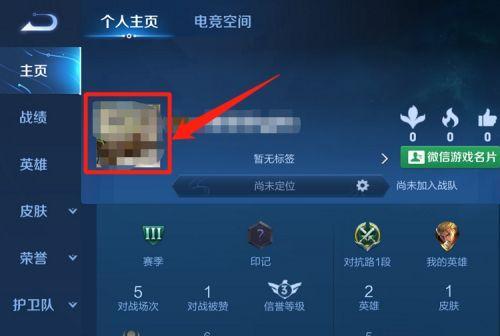 王者荣耀怎么选职业？王者荣耀大司马怎么得到？