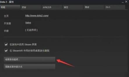 刀塔二如何匹配国内玩家？设置方法是什么？