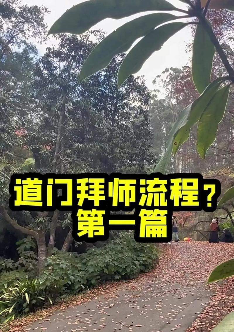 神仙道2拜师流程是怎样的？