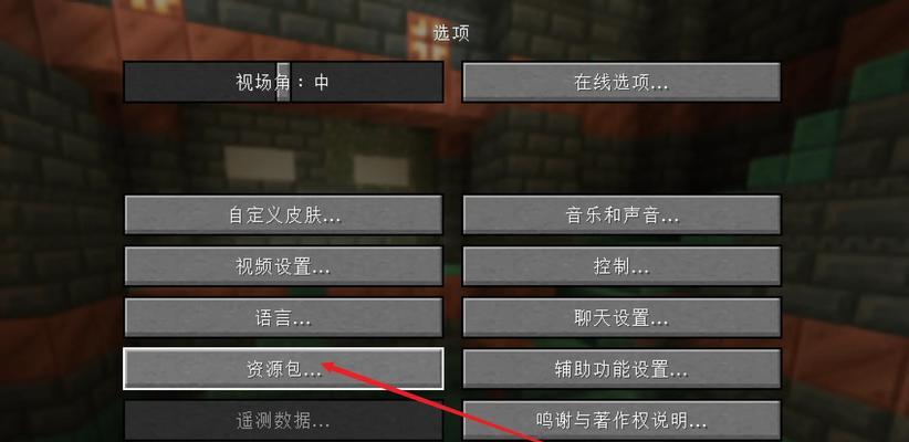 我的世界iris汉化后如何使用？