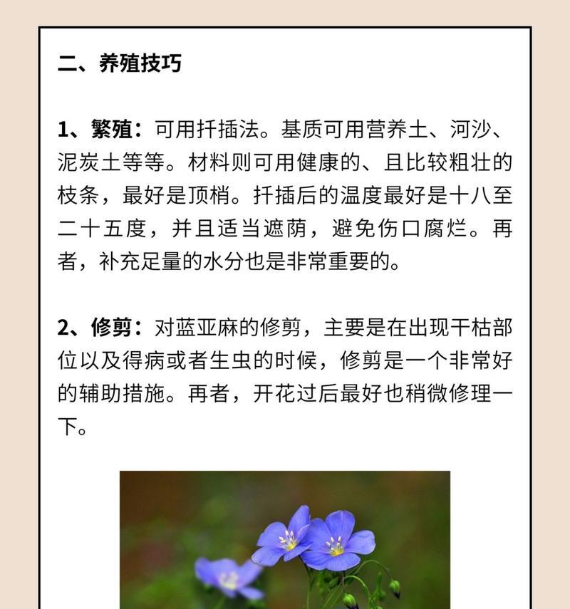 我的世界中亚麻种植方法是什么？需要哪些条件？