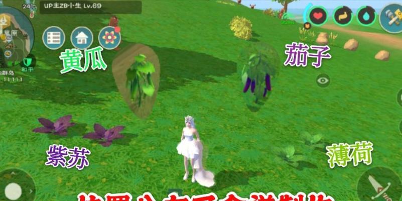 《探索魔法薄荷、紫苏、茄子与黄瓜的分布位置一览》（在奇幻游戏中一起寻找魔法植物的秘密）