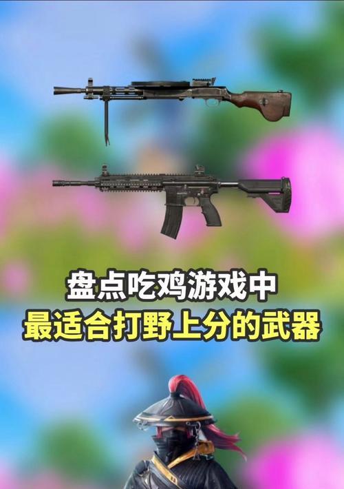 绝地求生刺激战场打野区资源丰富之谜（揭秘绝地求生刺激战场中最多的打野区资源）