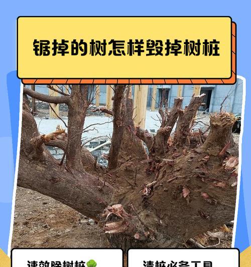我的世界中树木如何拆除？拆除树木的有效方法是什么？