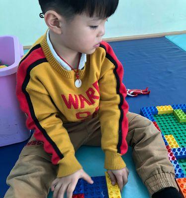 我的停车场32关攻略（解密停车场32关难关）