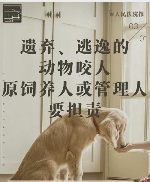 《猎鹿人2024》新手攻略（成为顶级猎人的关键步骤和策略）