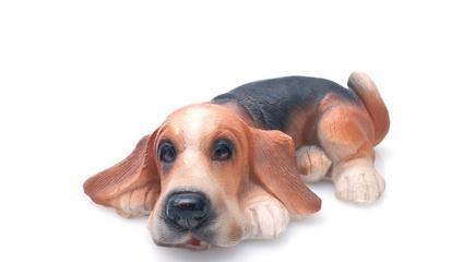 我的世界中猎狐犬如何驯服？驯服猎狐犬的技巧有哪些？