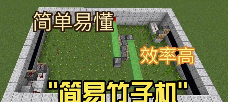 我的世界中种植竹子的步骤是什么？