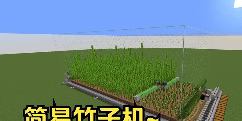 我的世界中种植竹子的步骤是什么？