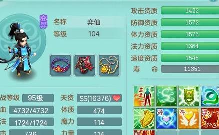 加血宠使用策略是什么？如何最大化效益？