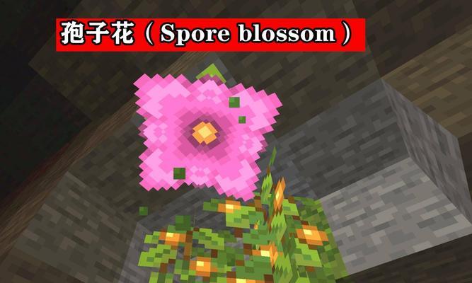 如何在《我的世界》中获得花？花的种类有哪些？