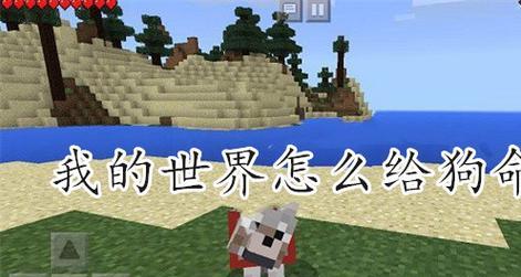 我的世界中如何让狗不跟随？