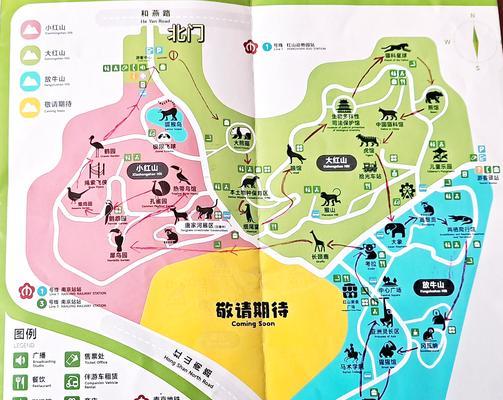 《小森生活金鸡》金鸡位置介绍（轻松寻找金鸡）