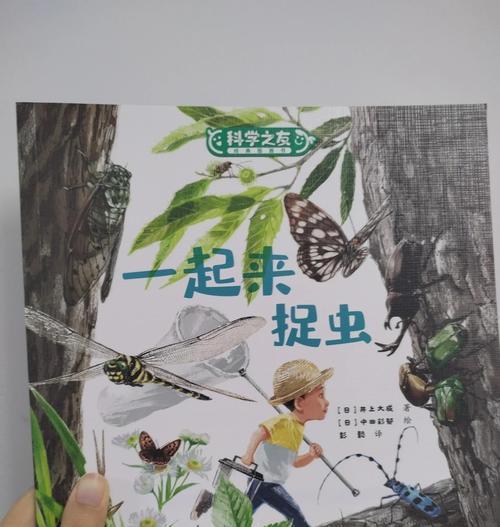 抓虫子的技巧和方法是什么？