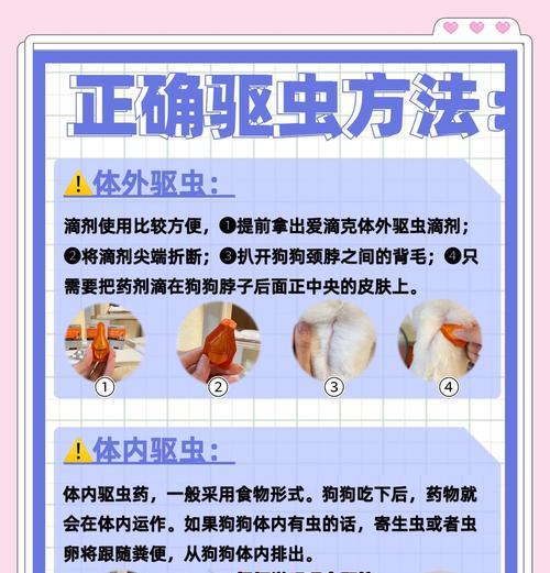 抓虫子的技巧和方法是什么？