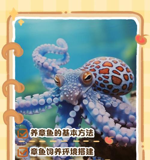 王者荣耀章鱼加入方法是什么？如何快速加入章鱼模式？