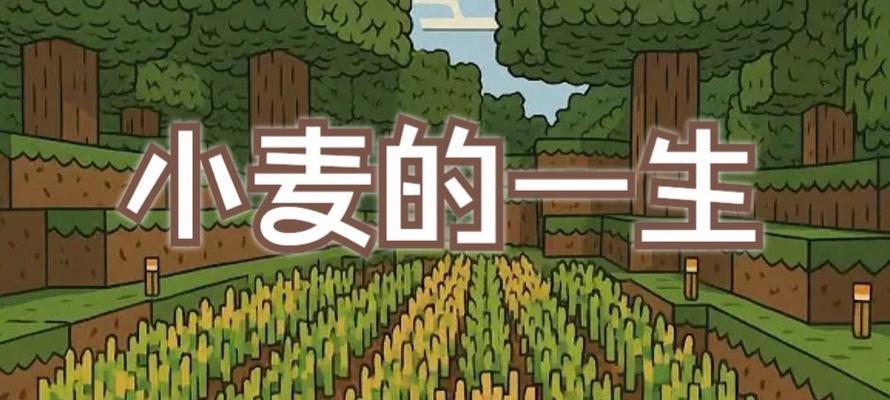 我的世界种植小麦的步骤是什么？