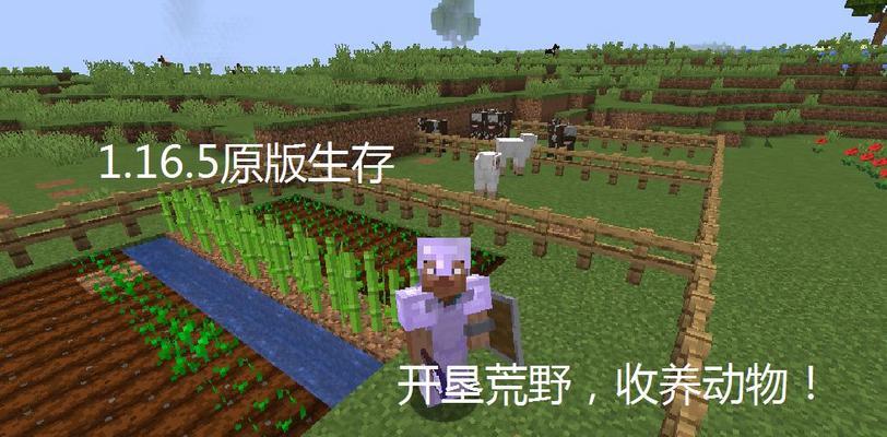我的世界种植小麦的步骤是什么？