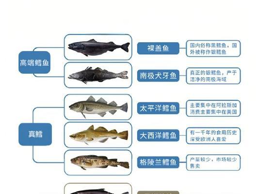 我的世界中鳕鱼的喂食方法是什么？如何正确喂养鳕鱼？