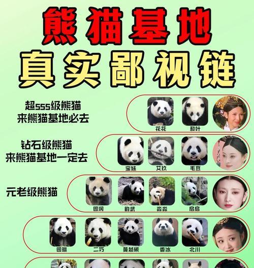 刀塔传奇熊猫获取途径是什么？如何获得熊猫角色？