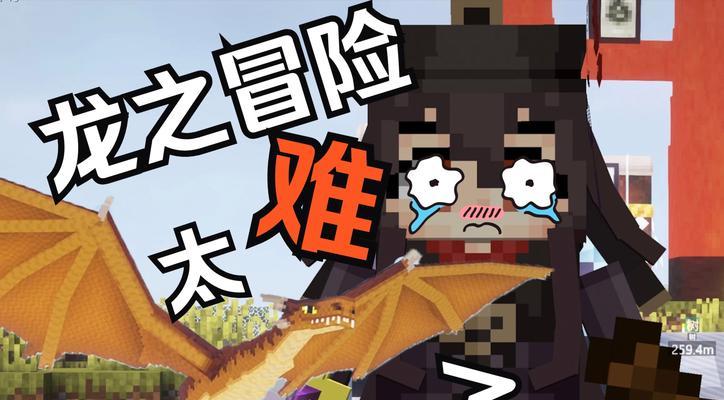 我的世界中龙骑士mod如何安装使用？步骤是什么？