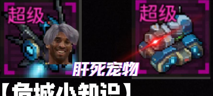 像素危城宠物攻略（游戏中如何培养宠物和掌握关键玩法）