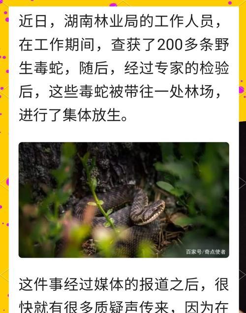 问道手游野生宠物放生不了怎么办？放生流程是什么？