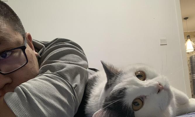 《以灵猫传橘灵王母》（打造最强宠物战队）