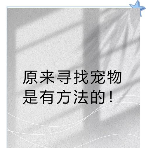 龙之谷手游宠物丢失后如何找回？找回宠物的步骤是什么？