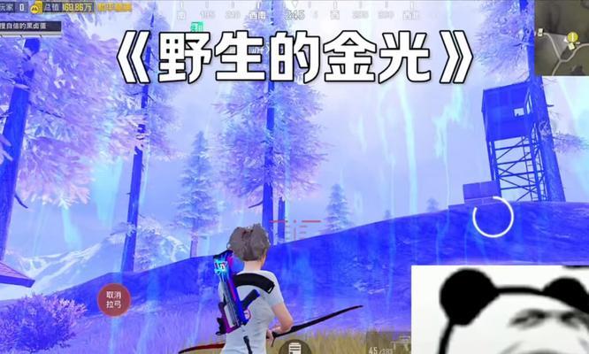 和平精英（一款以和平与战争为主题的热门游戏）