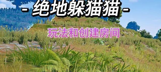 绝地求生创建房间的正确步骤是什么？