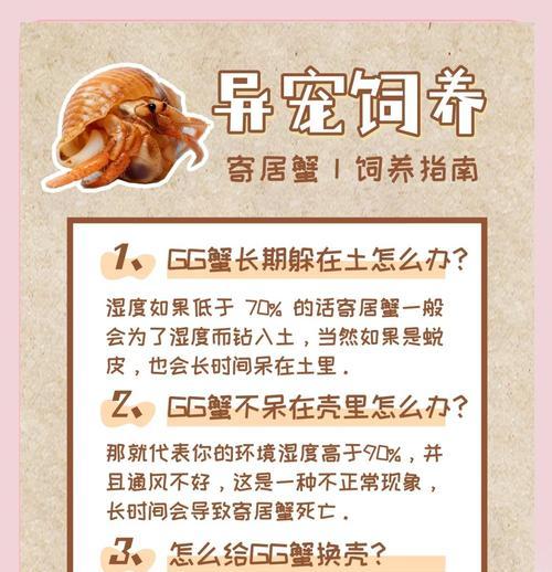《寻找幻塔寄居蟹食谱》（探索游戏世界中的秘密）