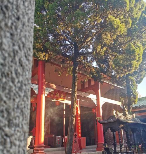 问道怀旧道观进入条件是什么？进入后有哪些活动？